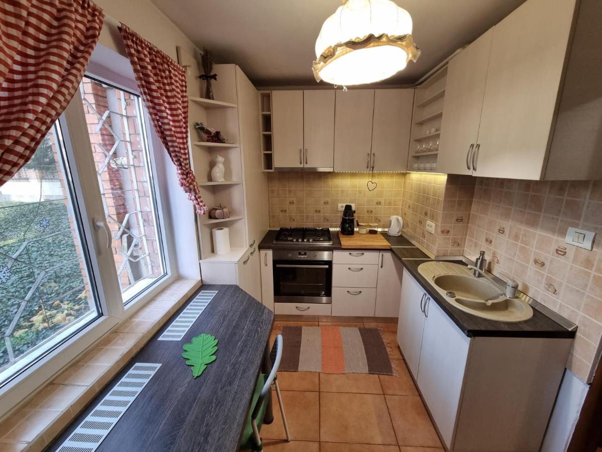Bastion Apartment 蒂米什瓦拉 外观 照片